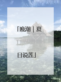 晚潮｜夏日说莲